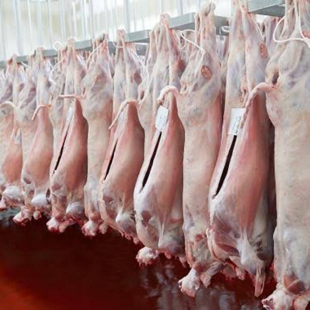 Sheep and Goat Meat